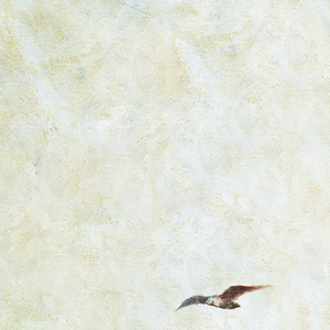 日本农村女人户外色情片
