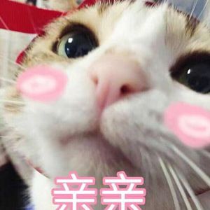 日本农村女人户外色情片
